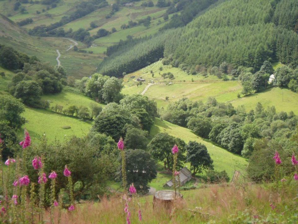 Glyn Mawr Barn * Bala